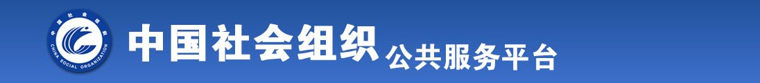 日逼网站入口全国社会组织信息查询